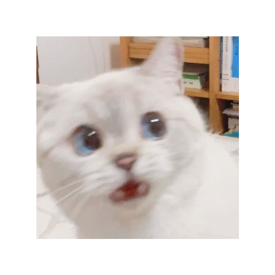 夏沫