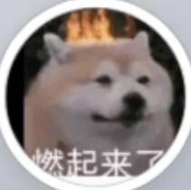 坑仙