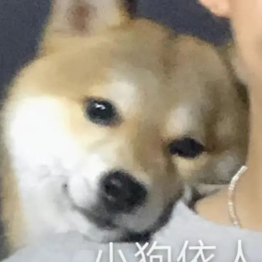 命都给你命都给你命都给你