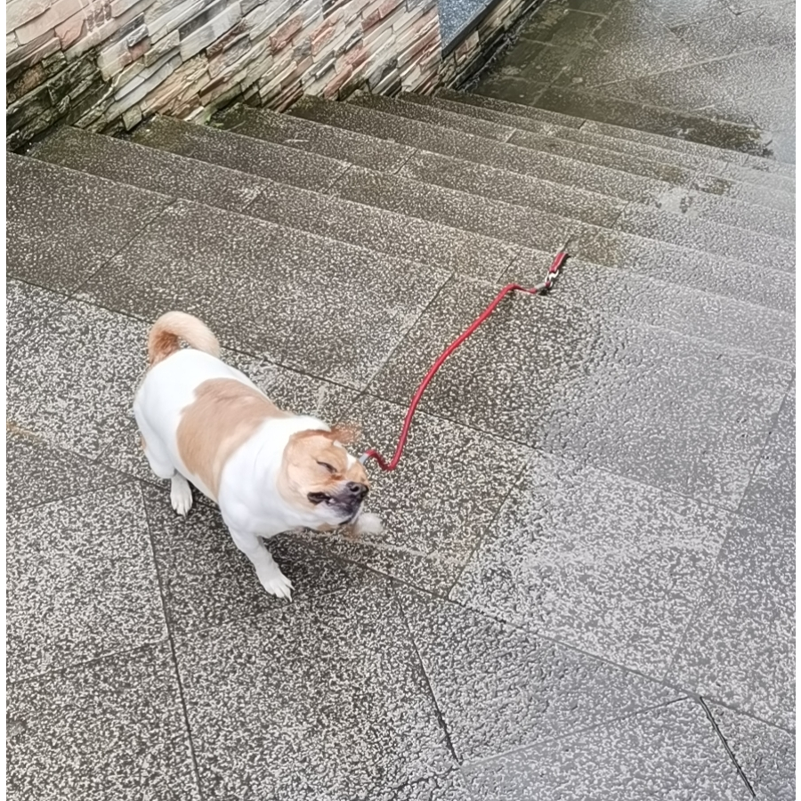 一条渔船