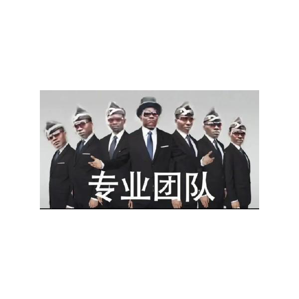 专业团队