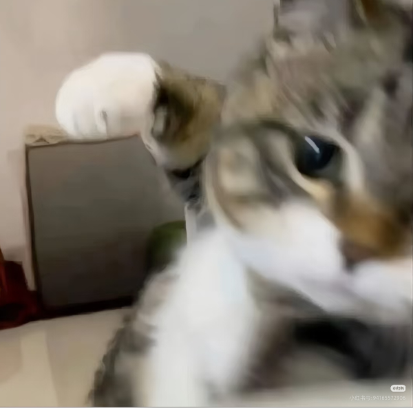 ⁺✞钱钱重度依赖ɞ✟₊