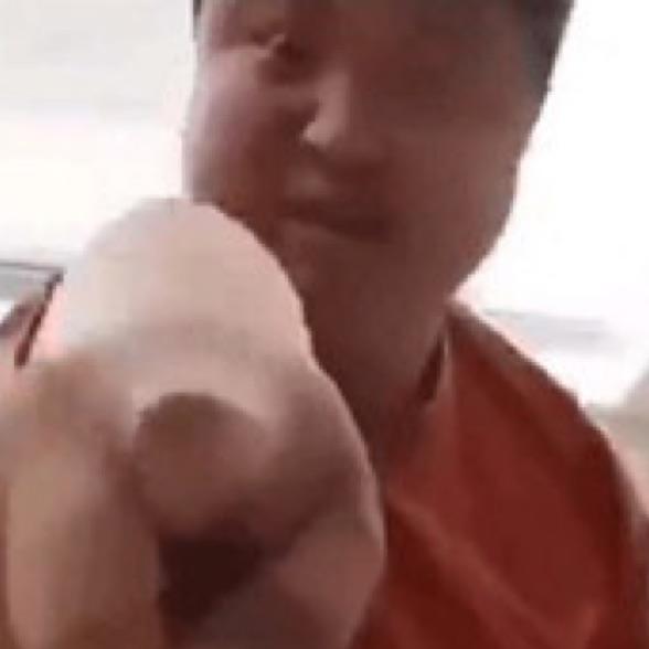 来自泰拉瑞亚的丽丽