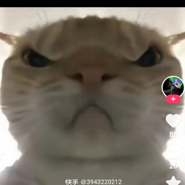 小林是人机
