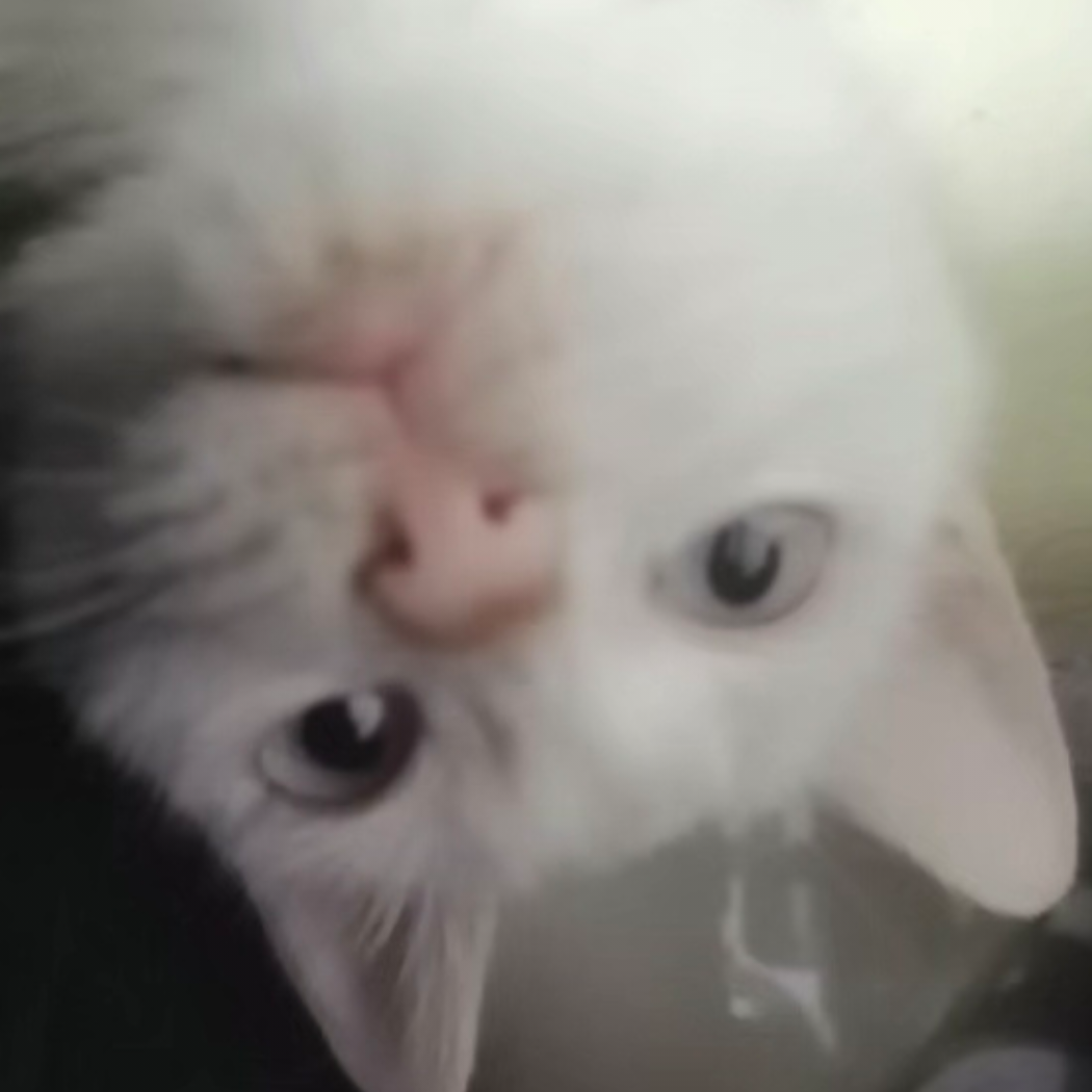 阿畑