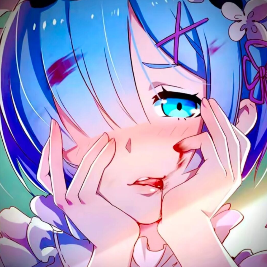 子菲鱼