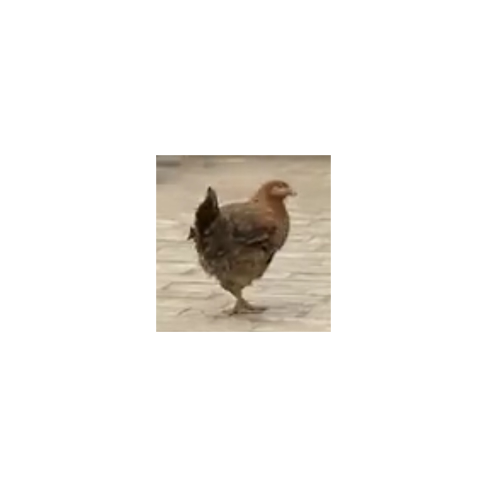 曾经的贪玩少年