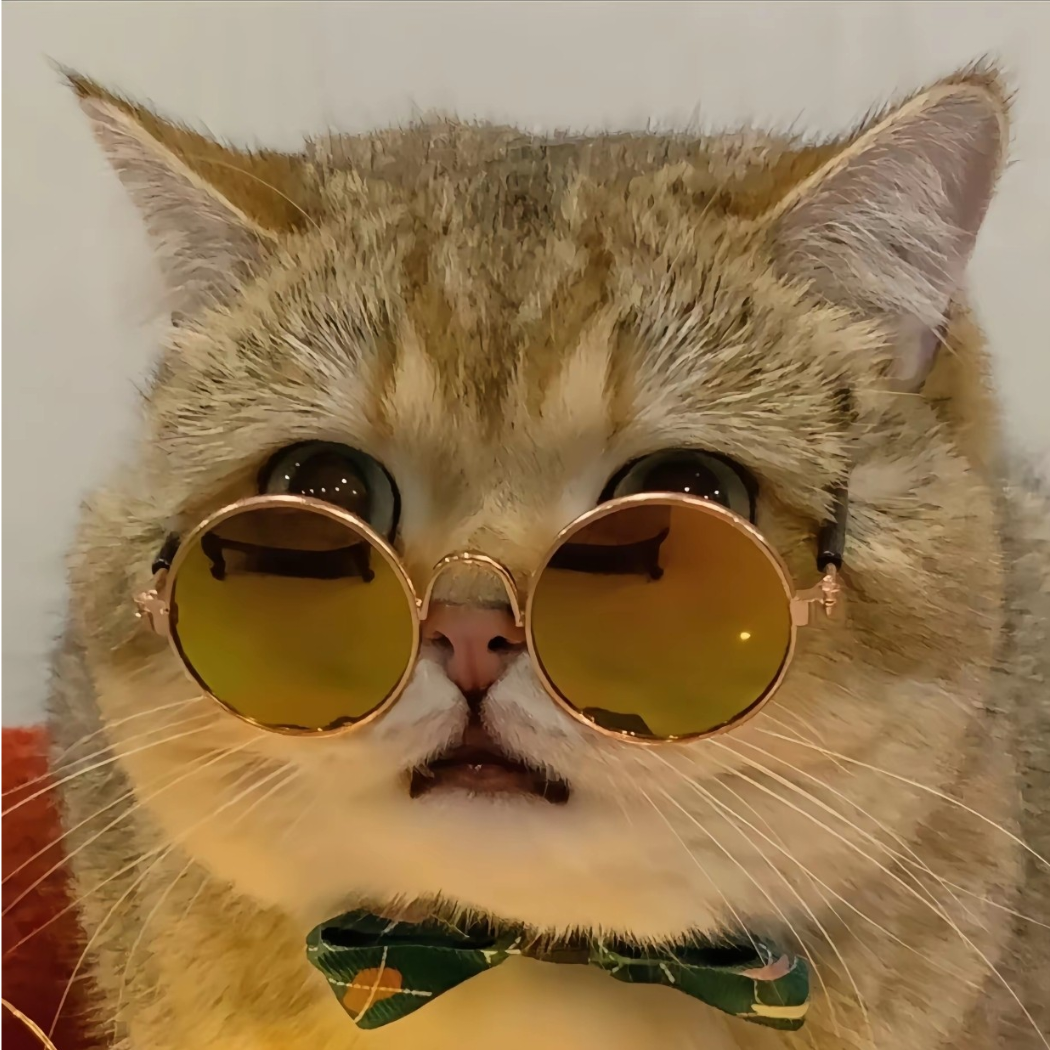 无所事事的主宰