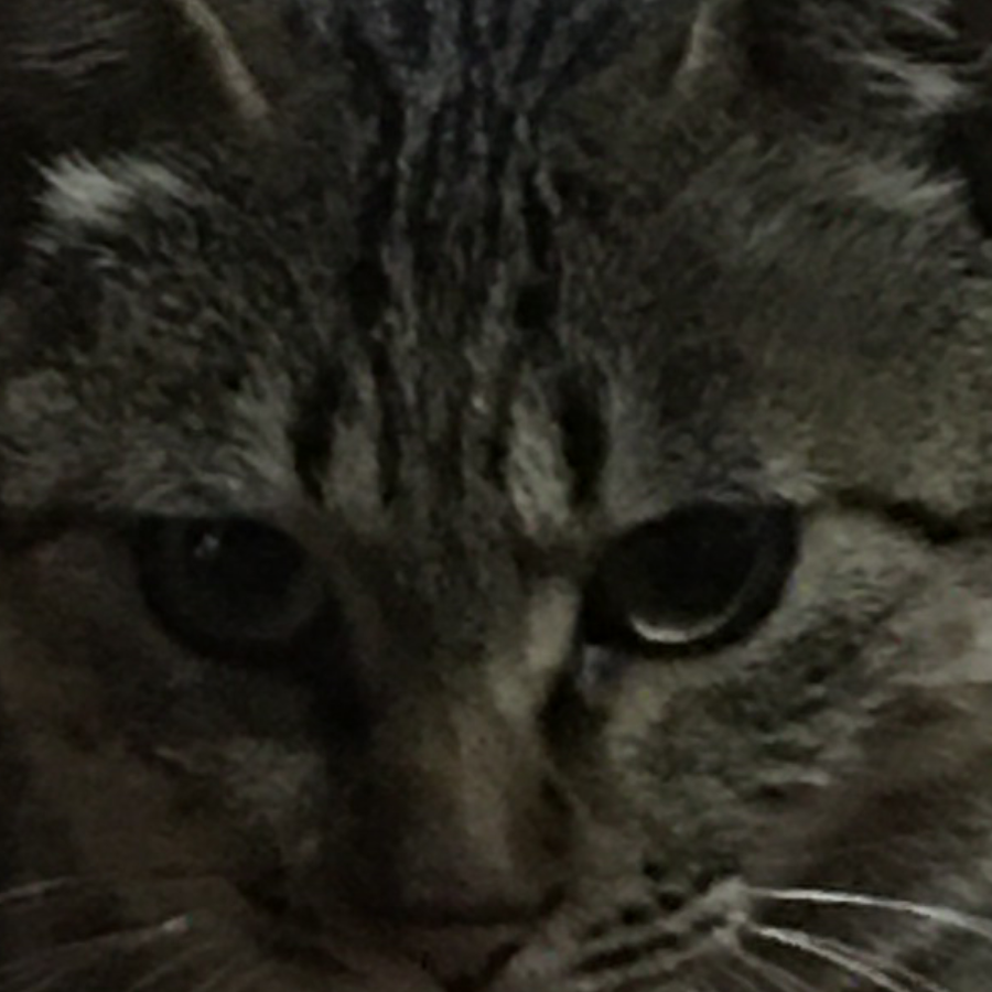 冲鸭小七