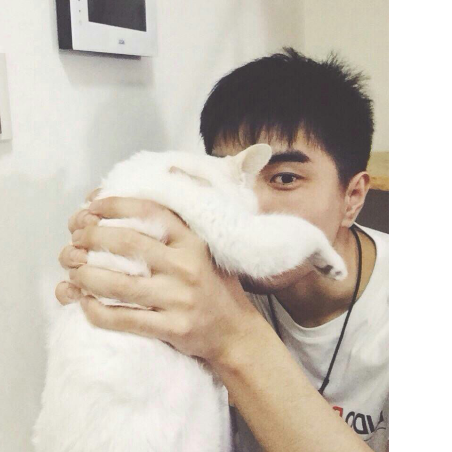 灬~刘刘💫