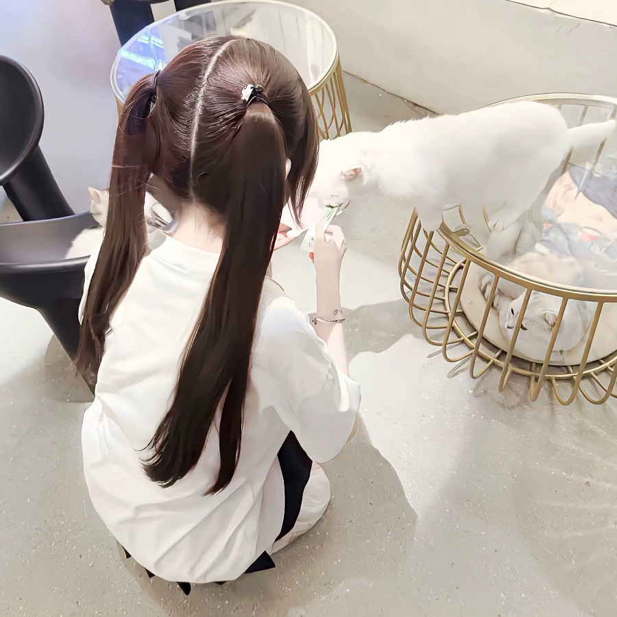 ……