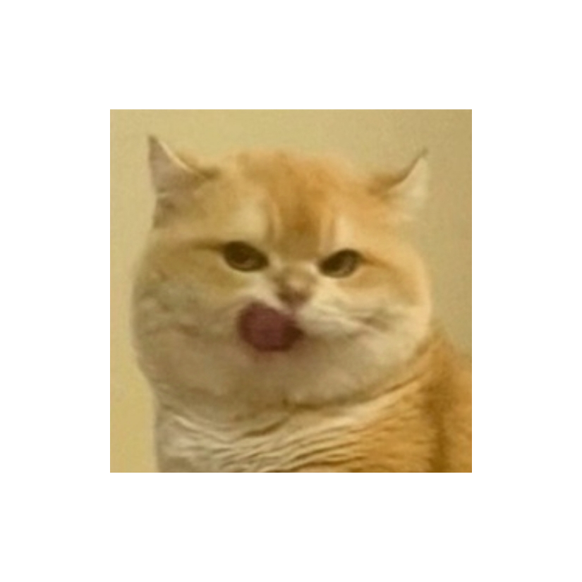 黑天司命