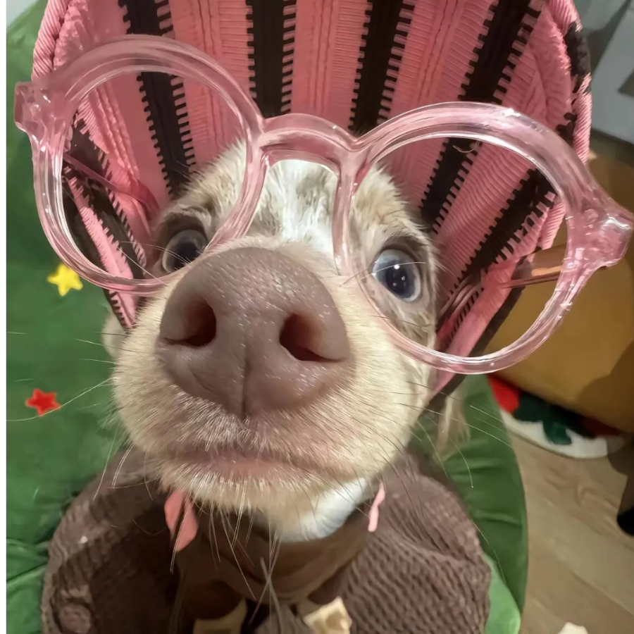 薯条大王
