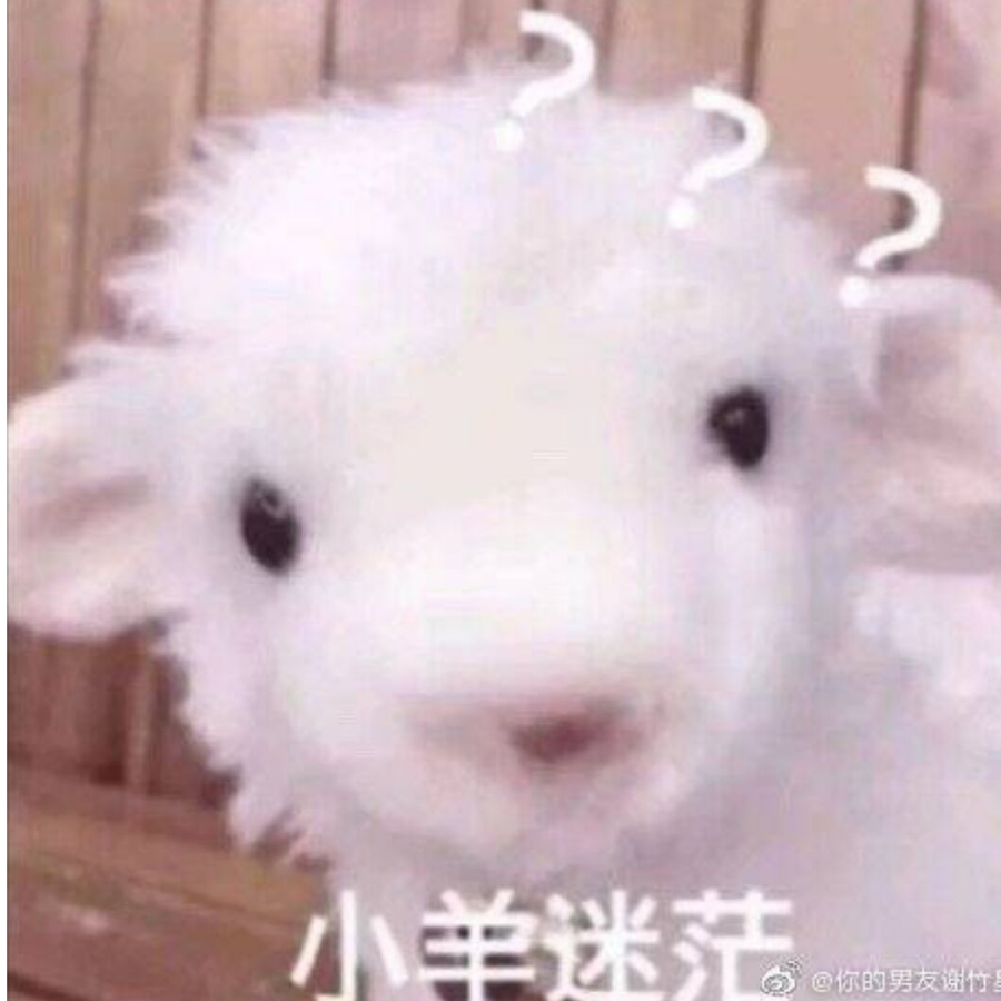 佐絮