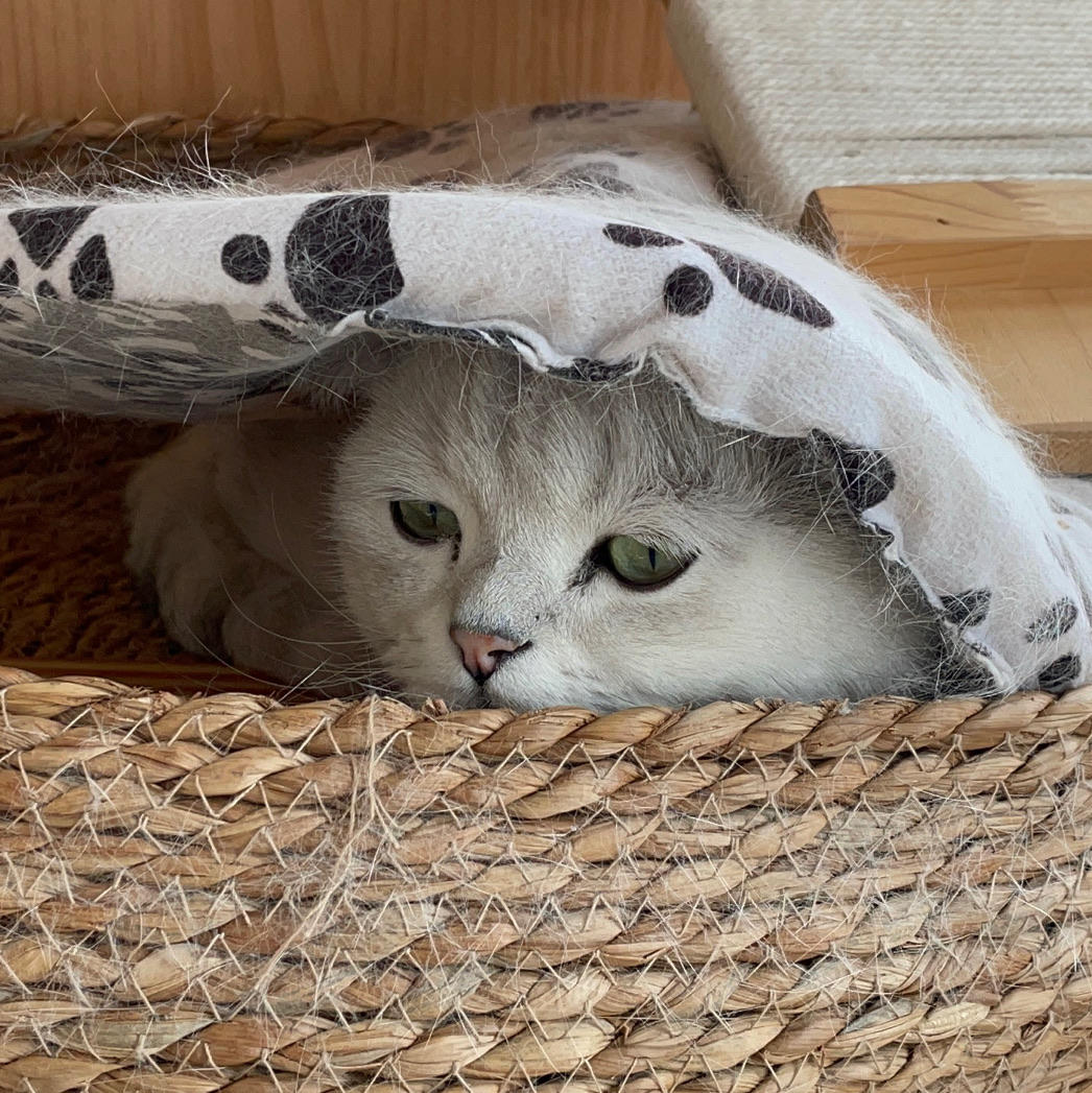 谭有病