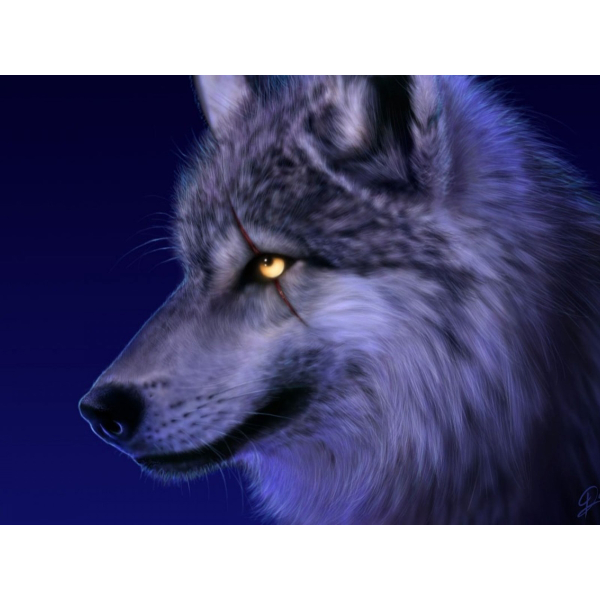 暗月下的孤狼