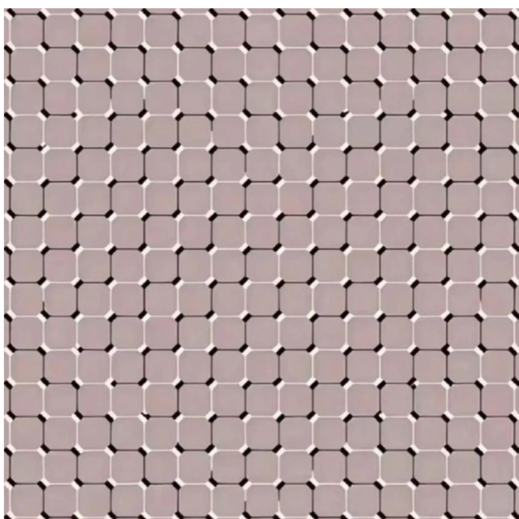 可达鸭爱吃鱼𓆡𓆝𓆟𓆜