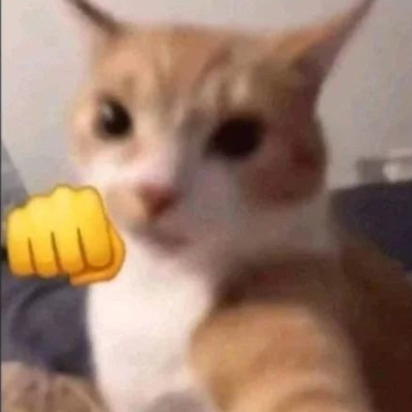 猫猫重拳出击