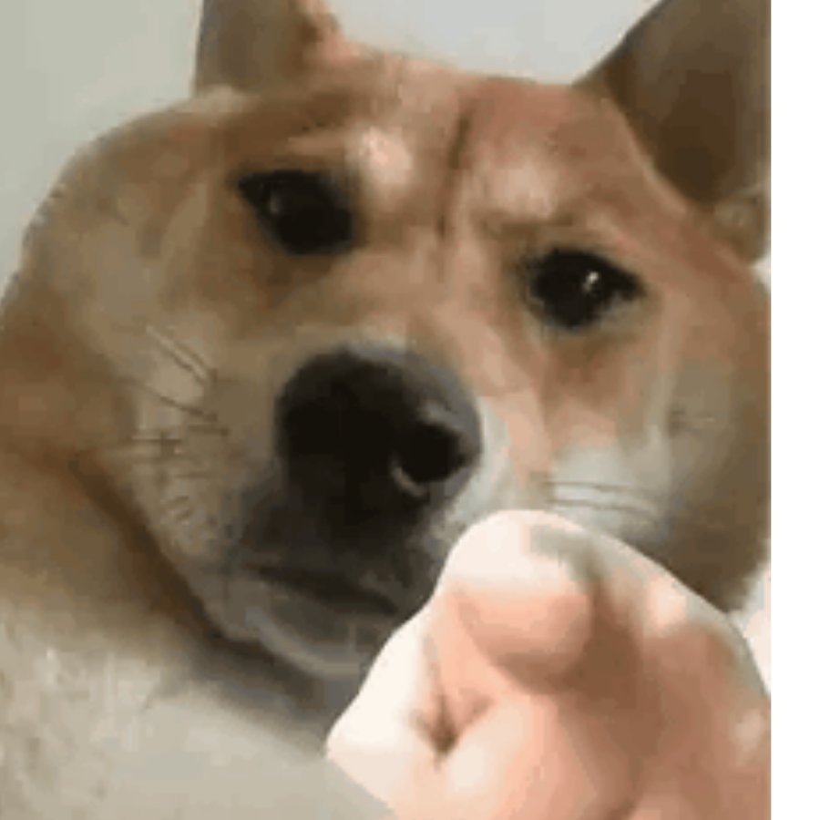 轮回梦生死
