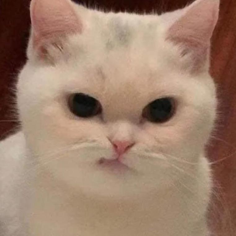 你有我大吗