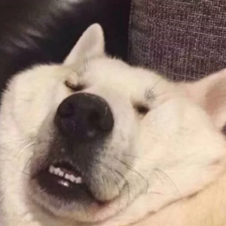 绿逗糕