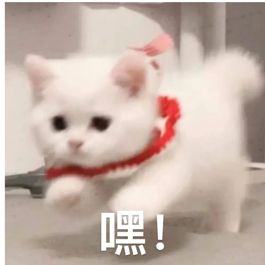 忆亦何为Z