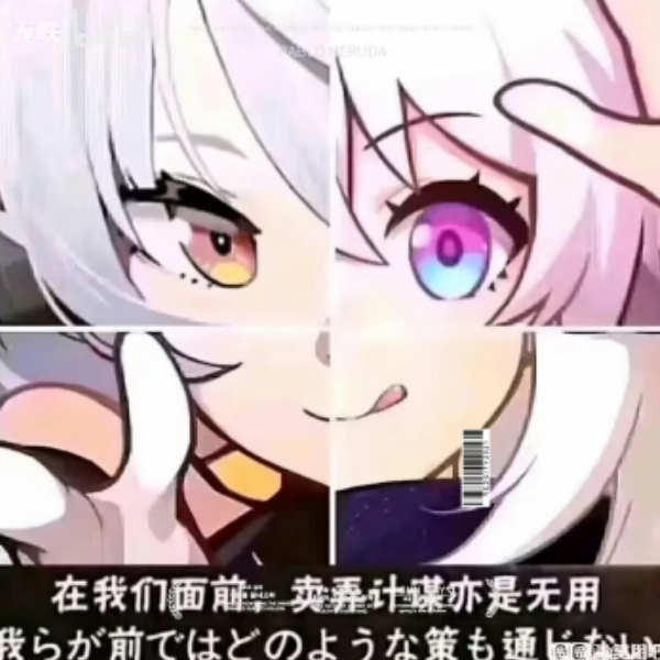 PerFor·极运