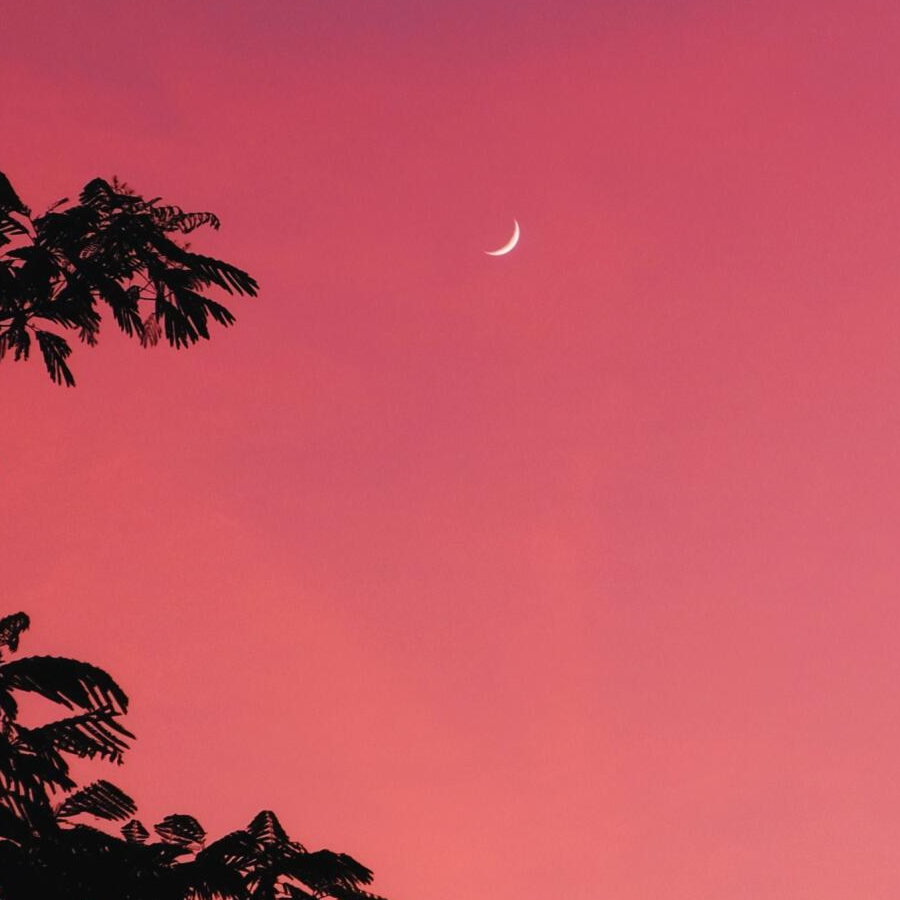 氼乚