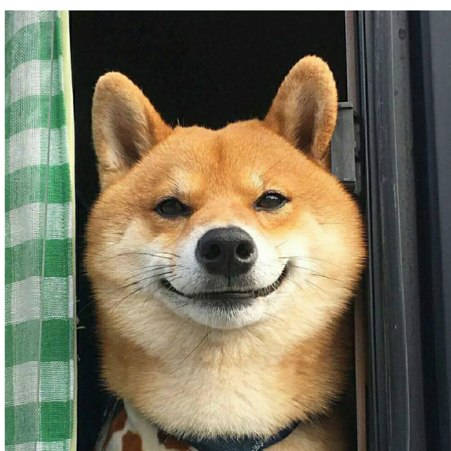 雨爱棱