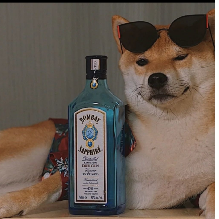 老吴
