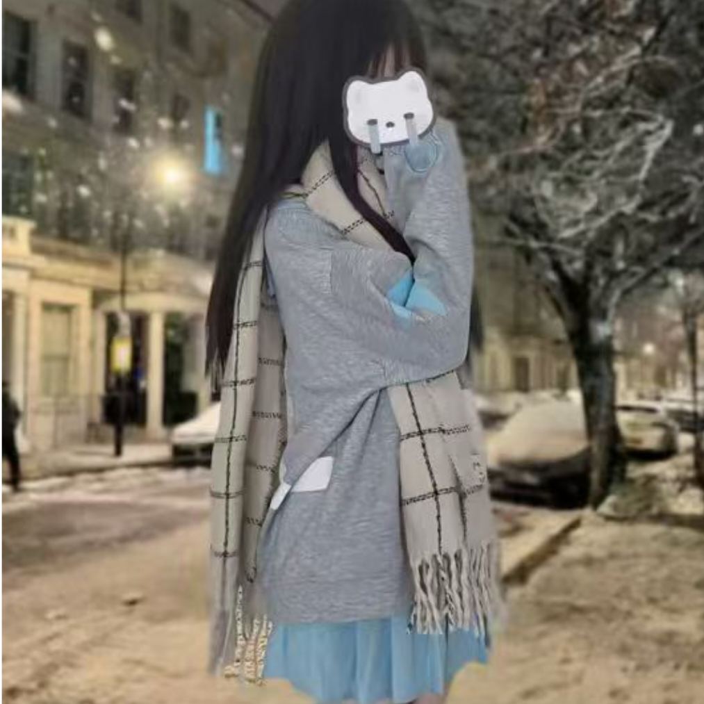 孤城飞雪