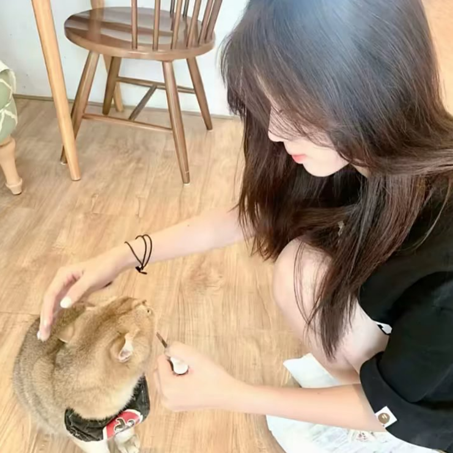 叙