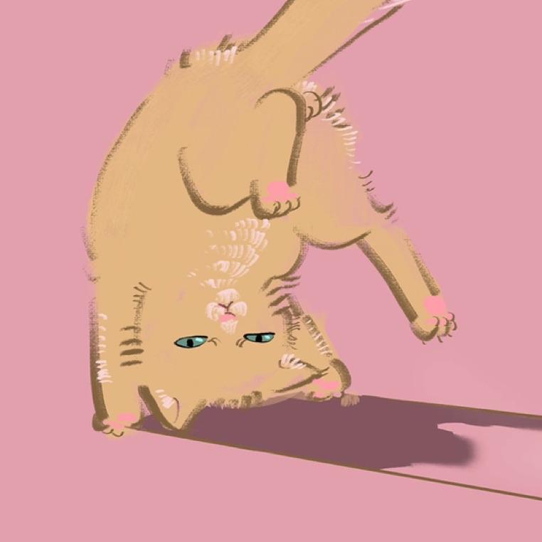 卷当