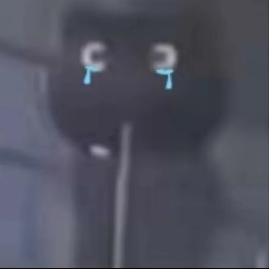 钎阡