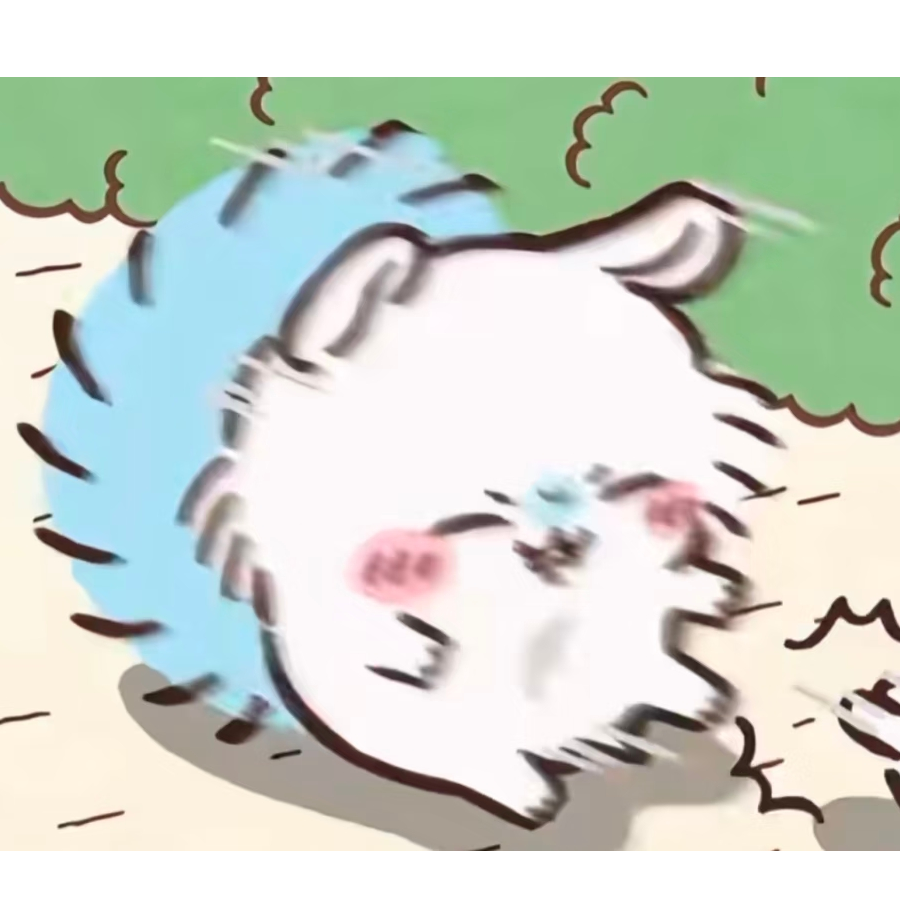永乐Y
