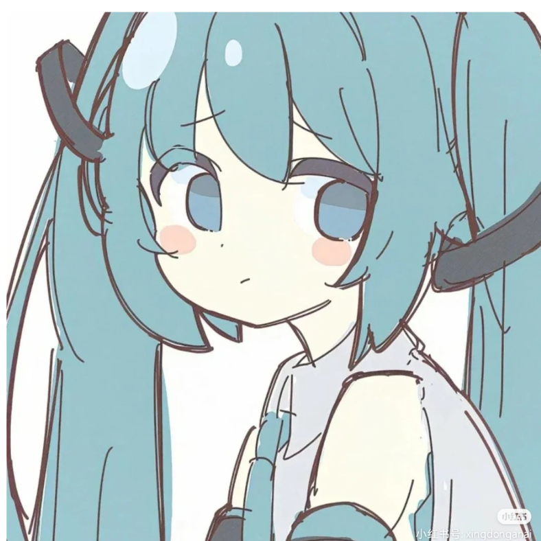小瓜皮