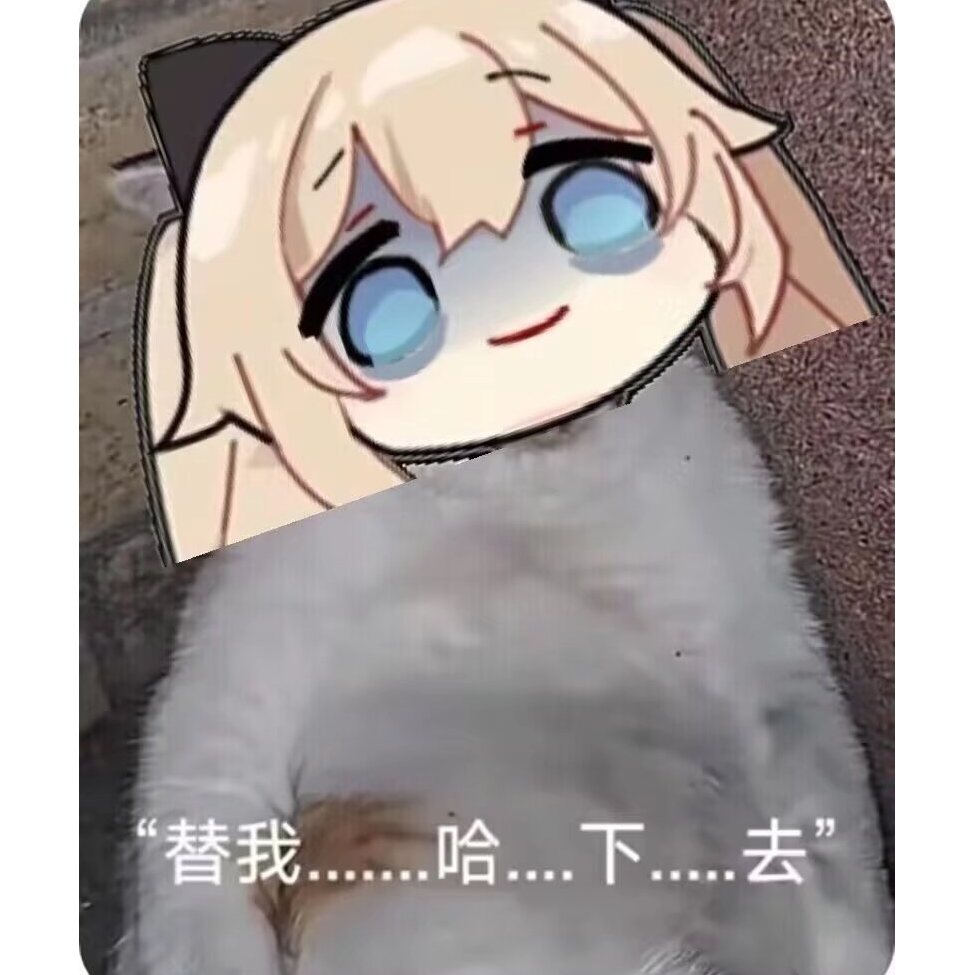 你这只吃白饭的喵