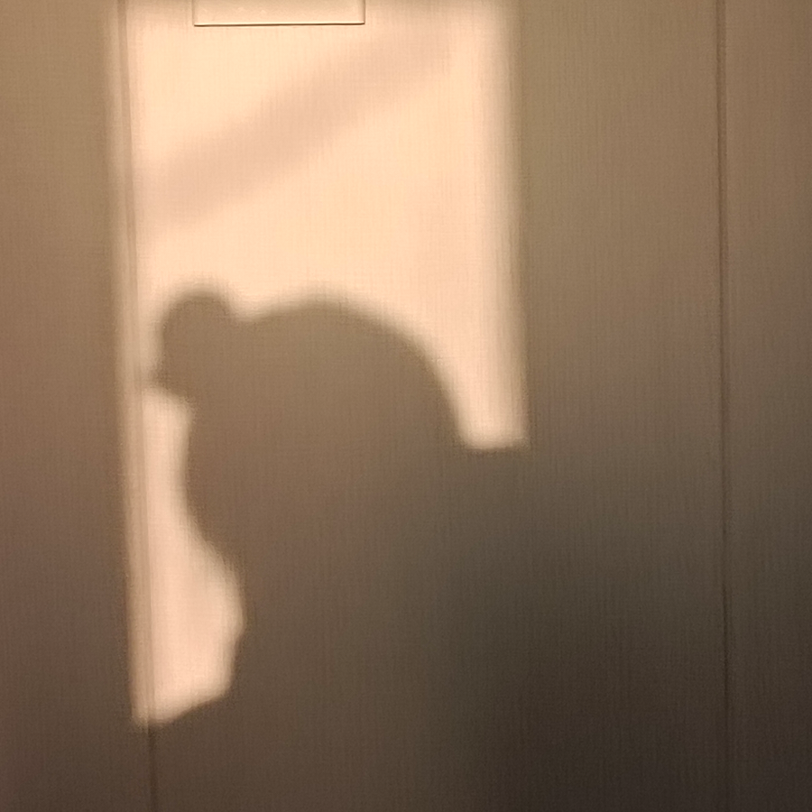 绛橘色日落.