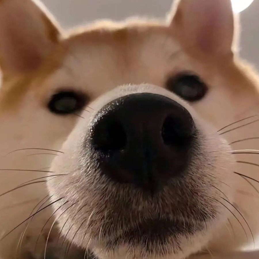 苏然