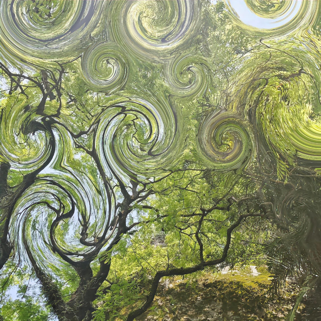 黄蛋挞