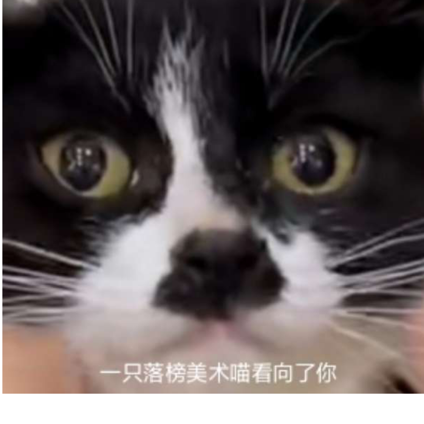 落榜美术喵