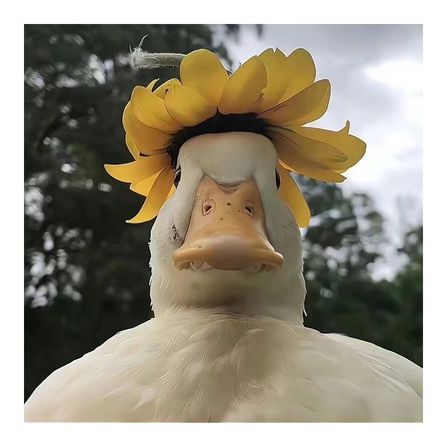盛夏光年