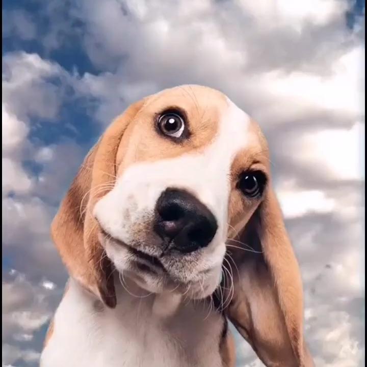 嚒嚒醉