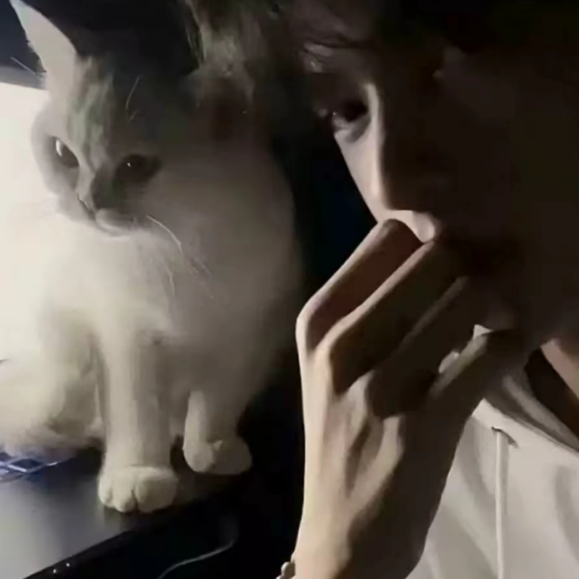 青风凌瑶