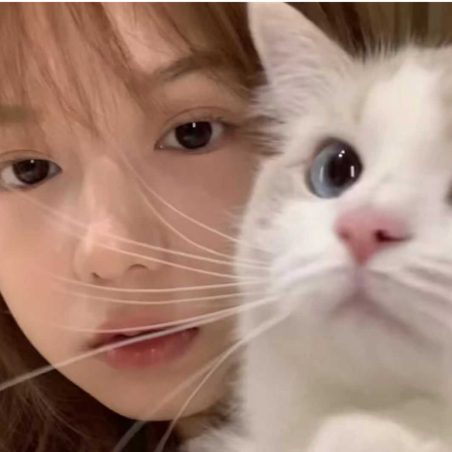 圈圈