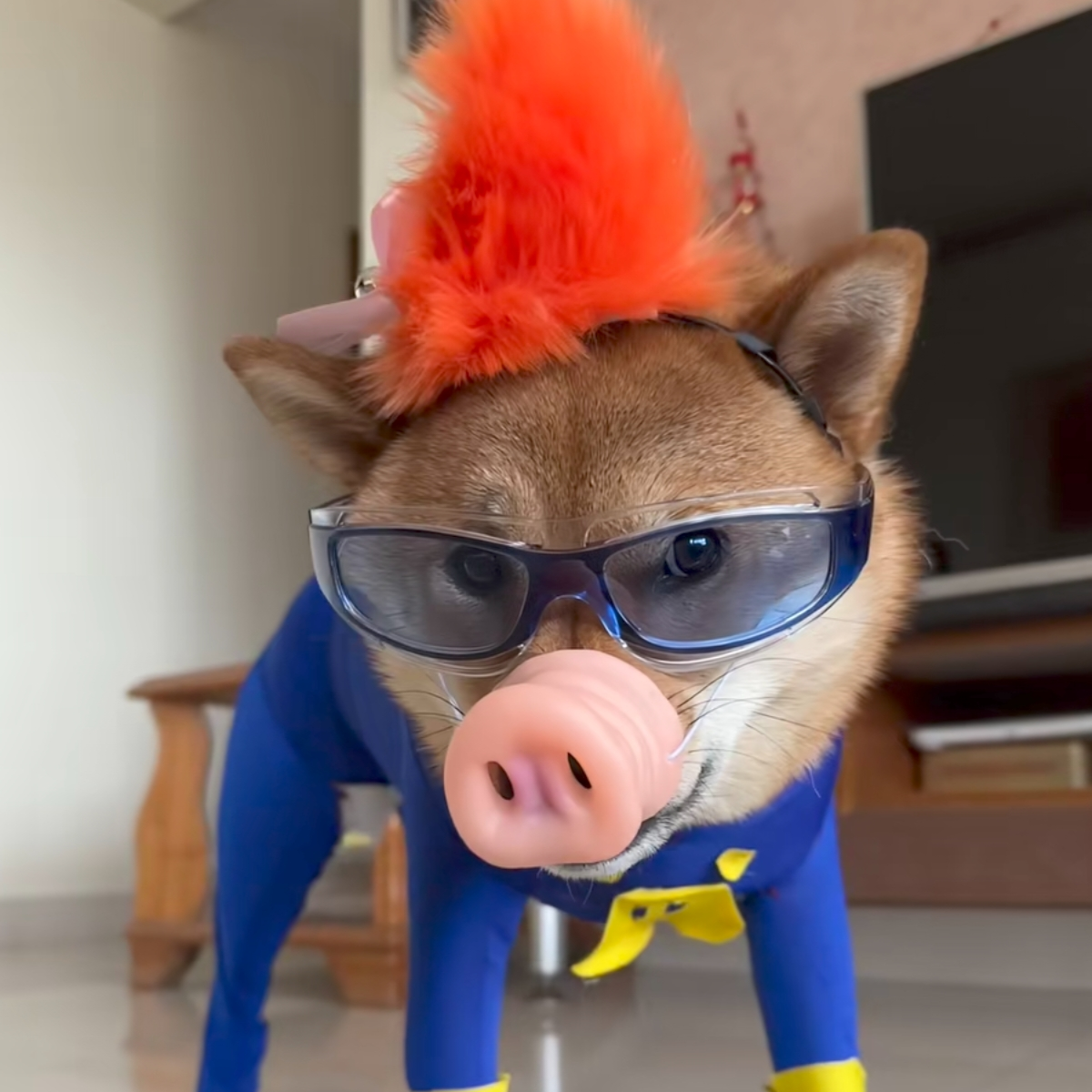 何以致契阔