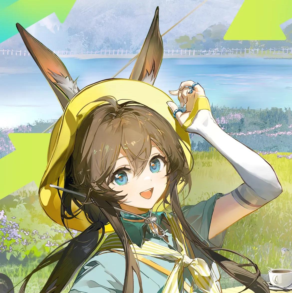 鹤倦倦