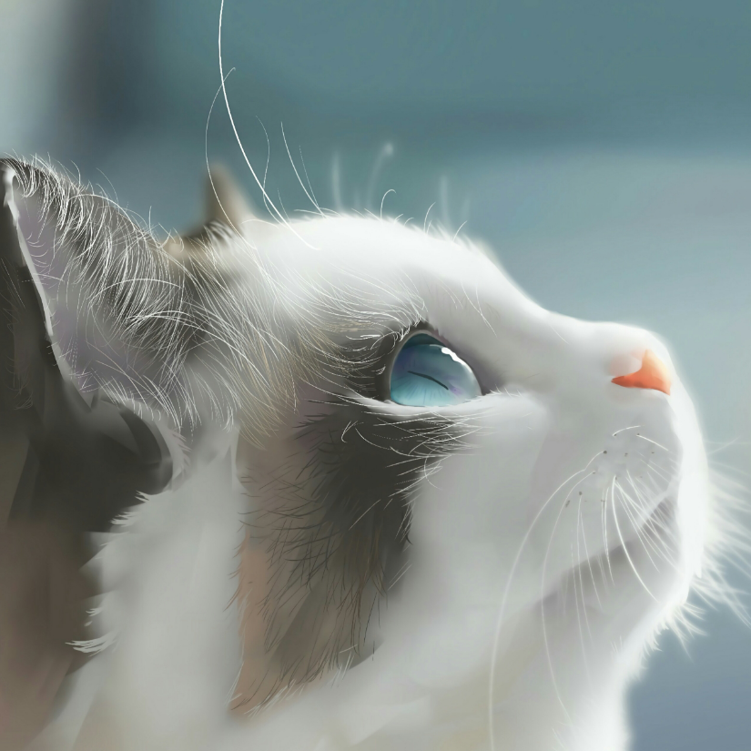 拔刀能留住落樱吗？