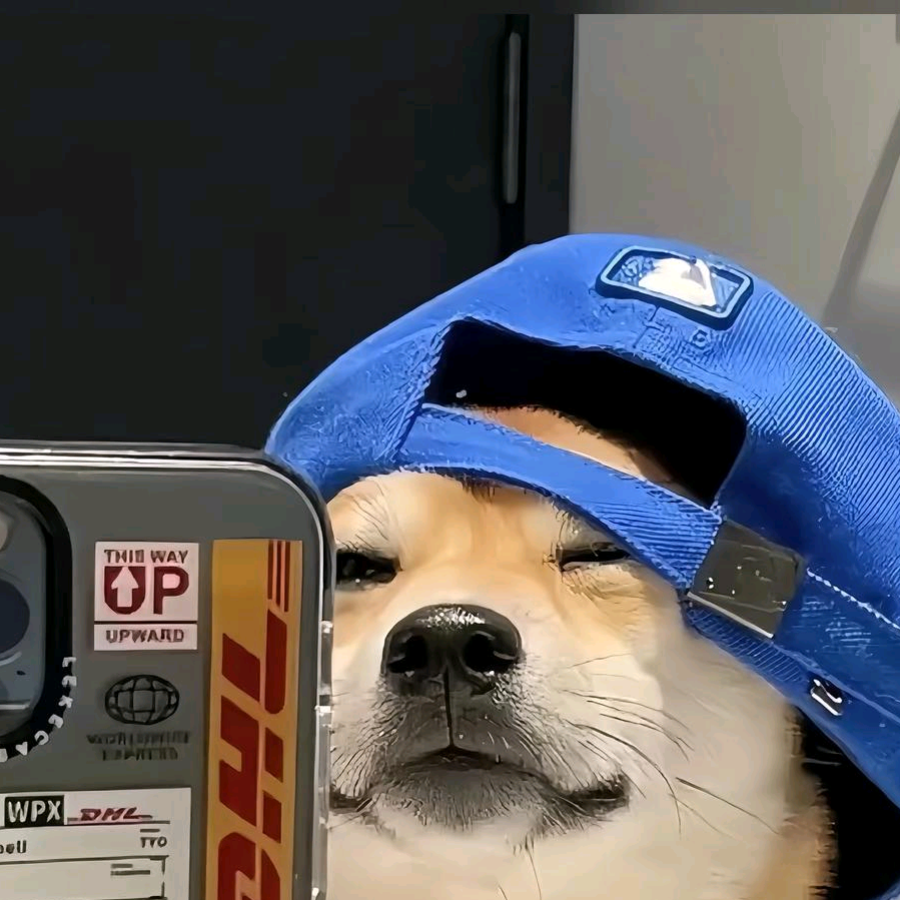 正正