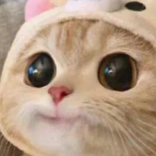丸